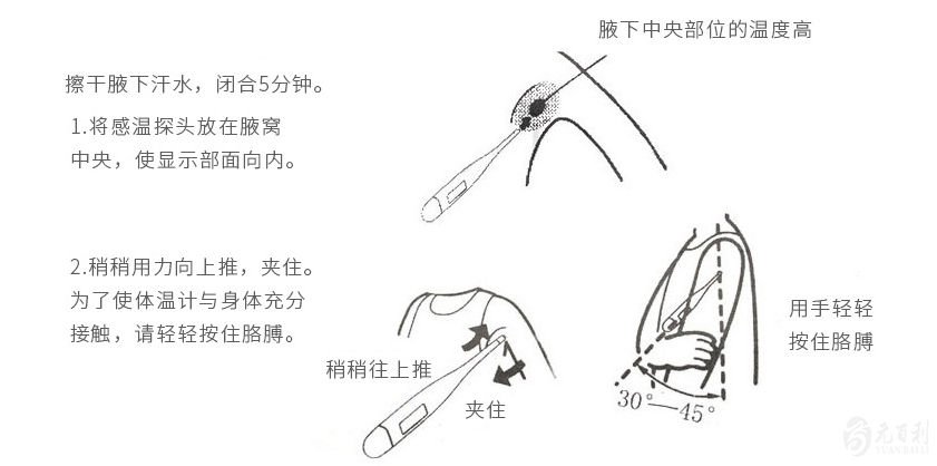 图片.png